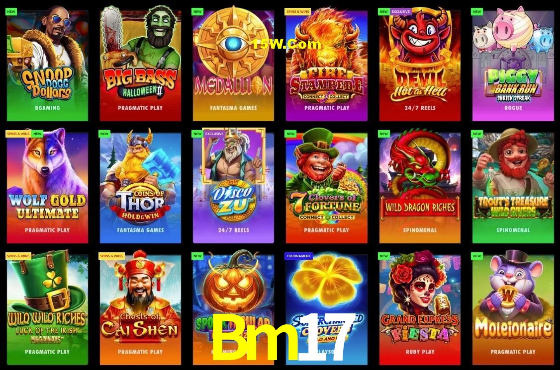Secure Login Bm17