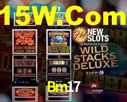 Tournaments Bm17