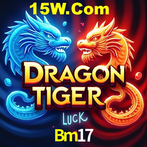 2FA Security Bm17
