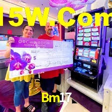 Tennis Betting Bm17