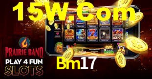 Premium Interface Bm17